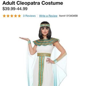 Couple Pair Costumes